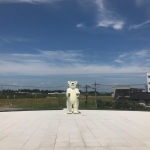 【コミッションワーク事例】富山県美術館の屋外彫刻/三沢厚彦のAnimals